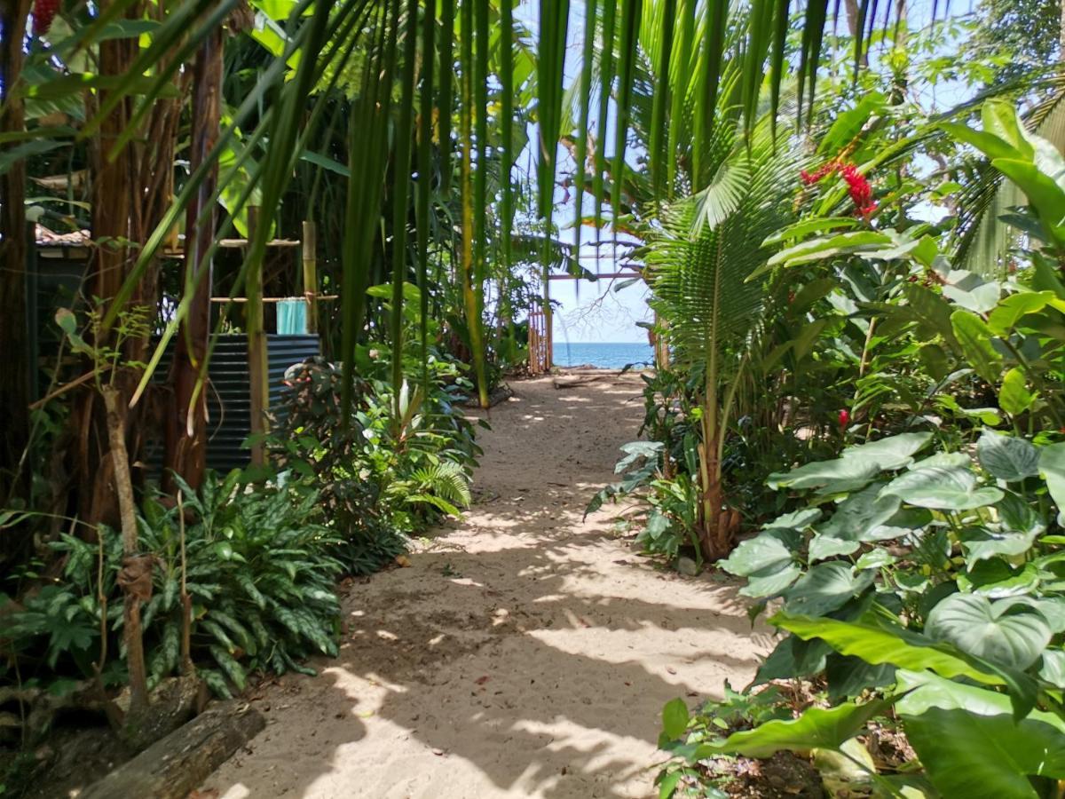Oasis Hostel Puerto Viejo de Talamanca Exterior photo