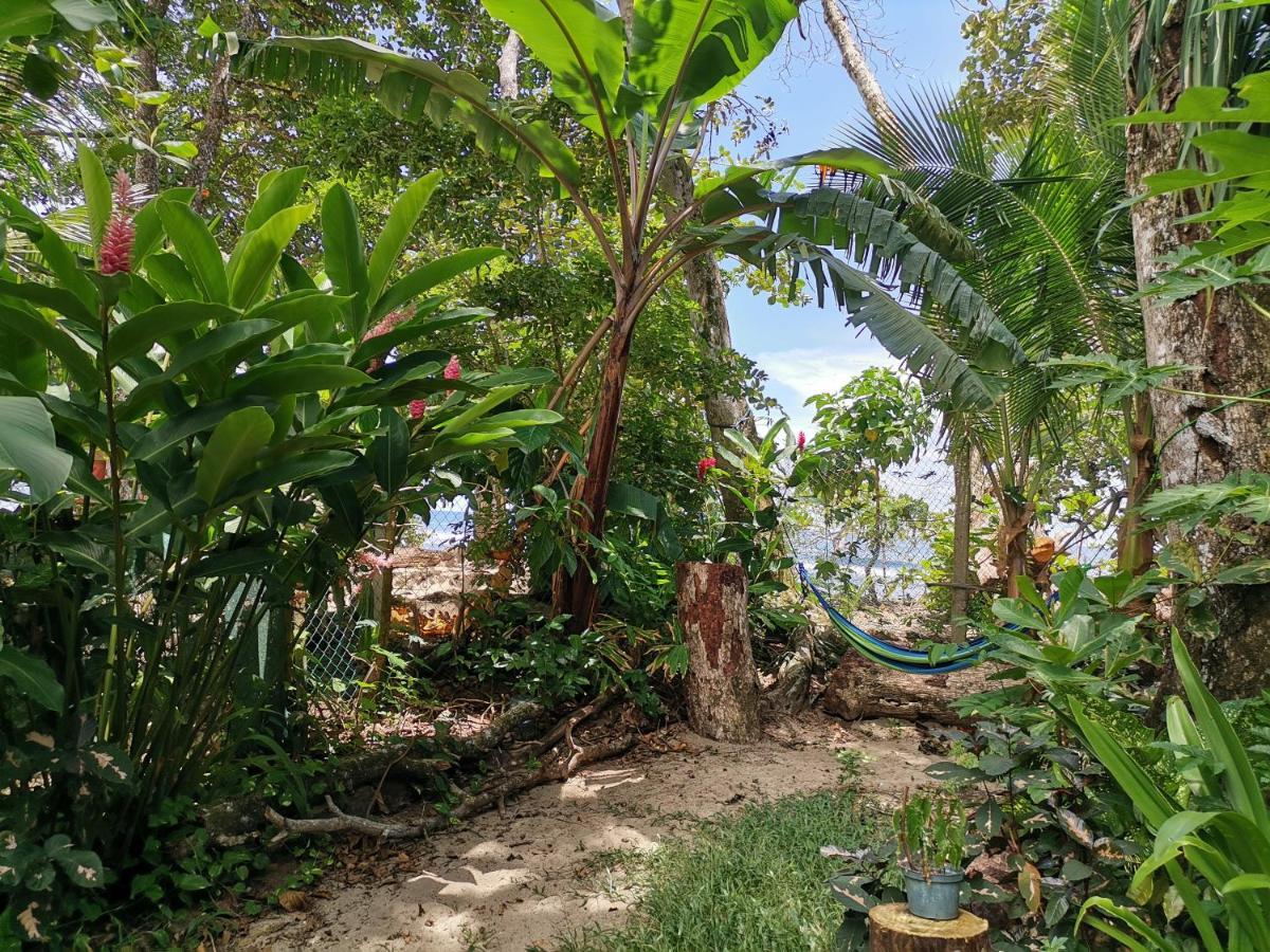 Oasis Hostel Puerto Viejo de Talamanca Exterior photo