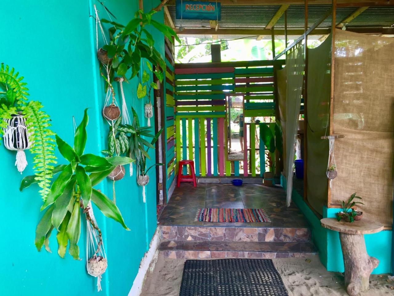 Oasis Hostel Puerto Viejo de Talamanca Exterior photo