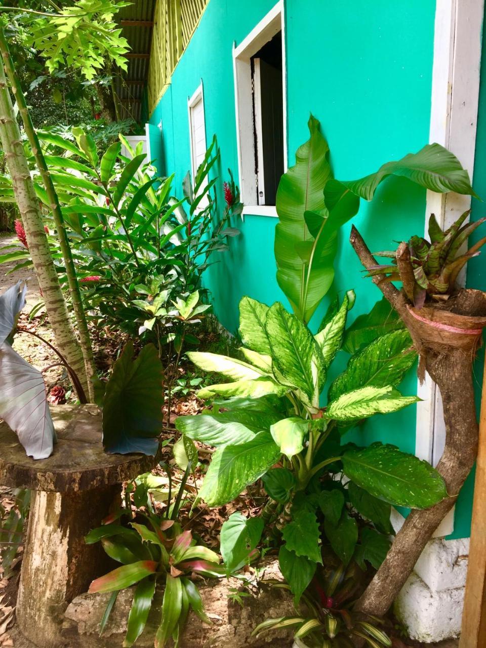 Oasis Hostel Puerto Viejo de Talamanca Exterior photo